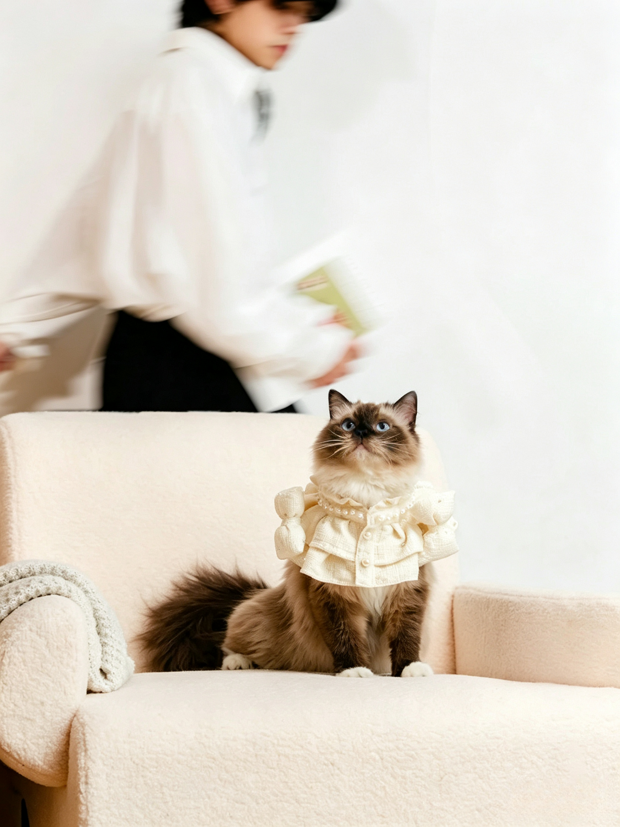 Écharpe pour animaux de compagnie Bandana pour animaux de compagnie