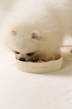 Kama Muta Pet Slow Food Bowl Anti Choking And Anti Slip Ceramic Bowl