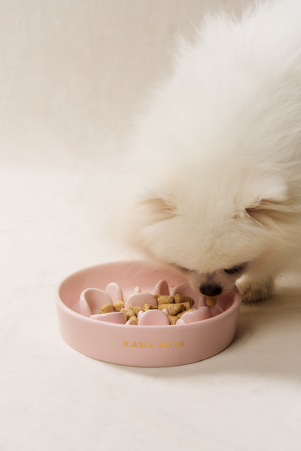 Kama Muta Pet Slow Food Bowl Anti Choking And Anti Slip Ceramic Bowl