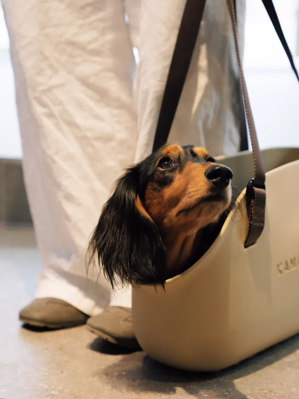 Kama Muta Plus Pet Tote Bag Carrier