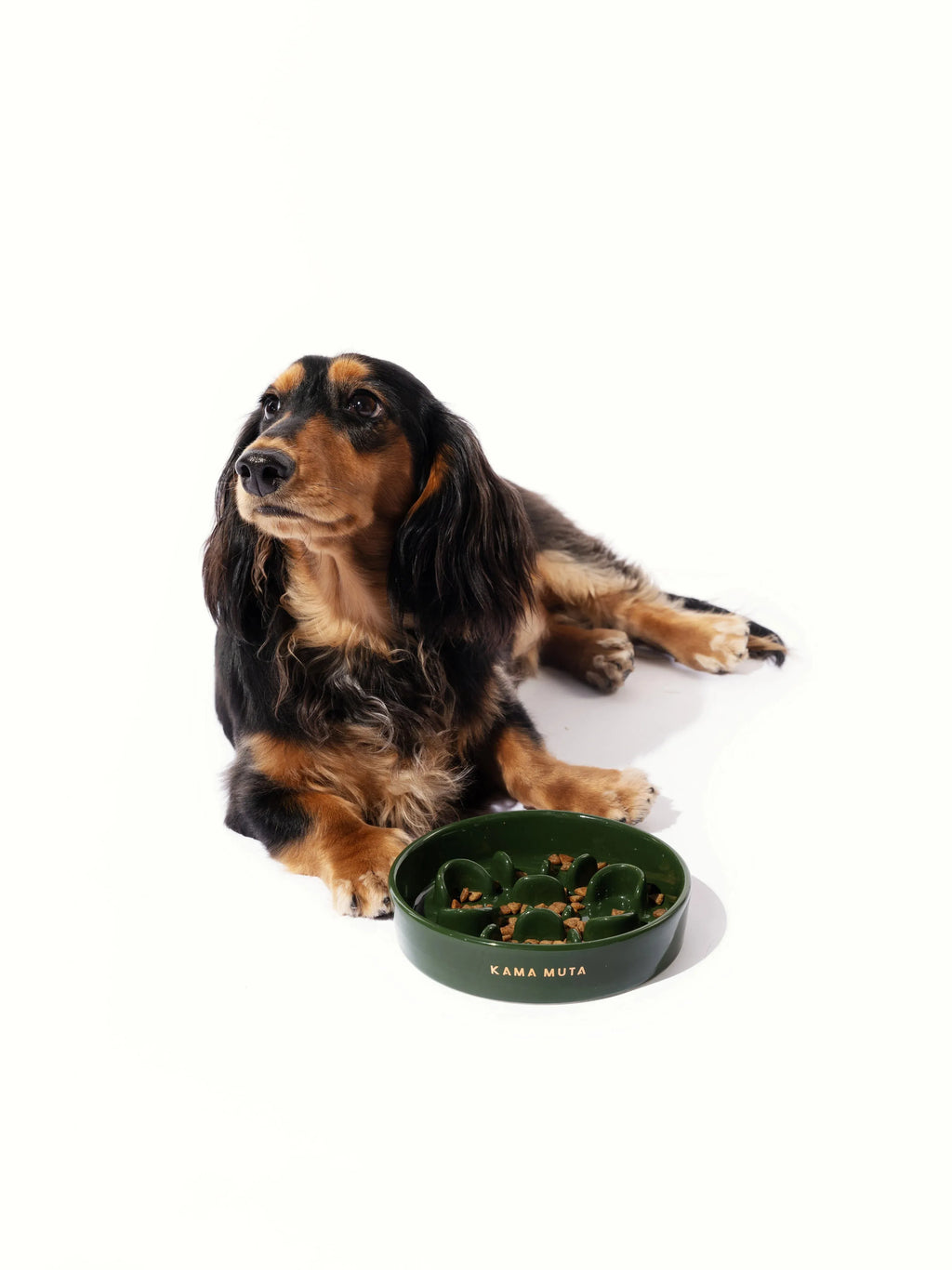 Kama Muta Pet Slow Food Bowl Anti Choking And Anti Slip Ceramic Bowl