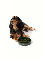 Kama Muta Pet Slow Food Bowl Anti Choking And Anti Slip Ceramic Bowl
