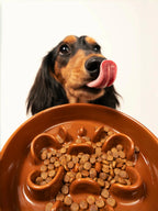 Kama Muta Pet Slow Food Bowl Anti Choking And Anti Slip Ceramic Bowl