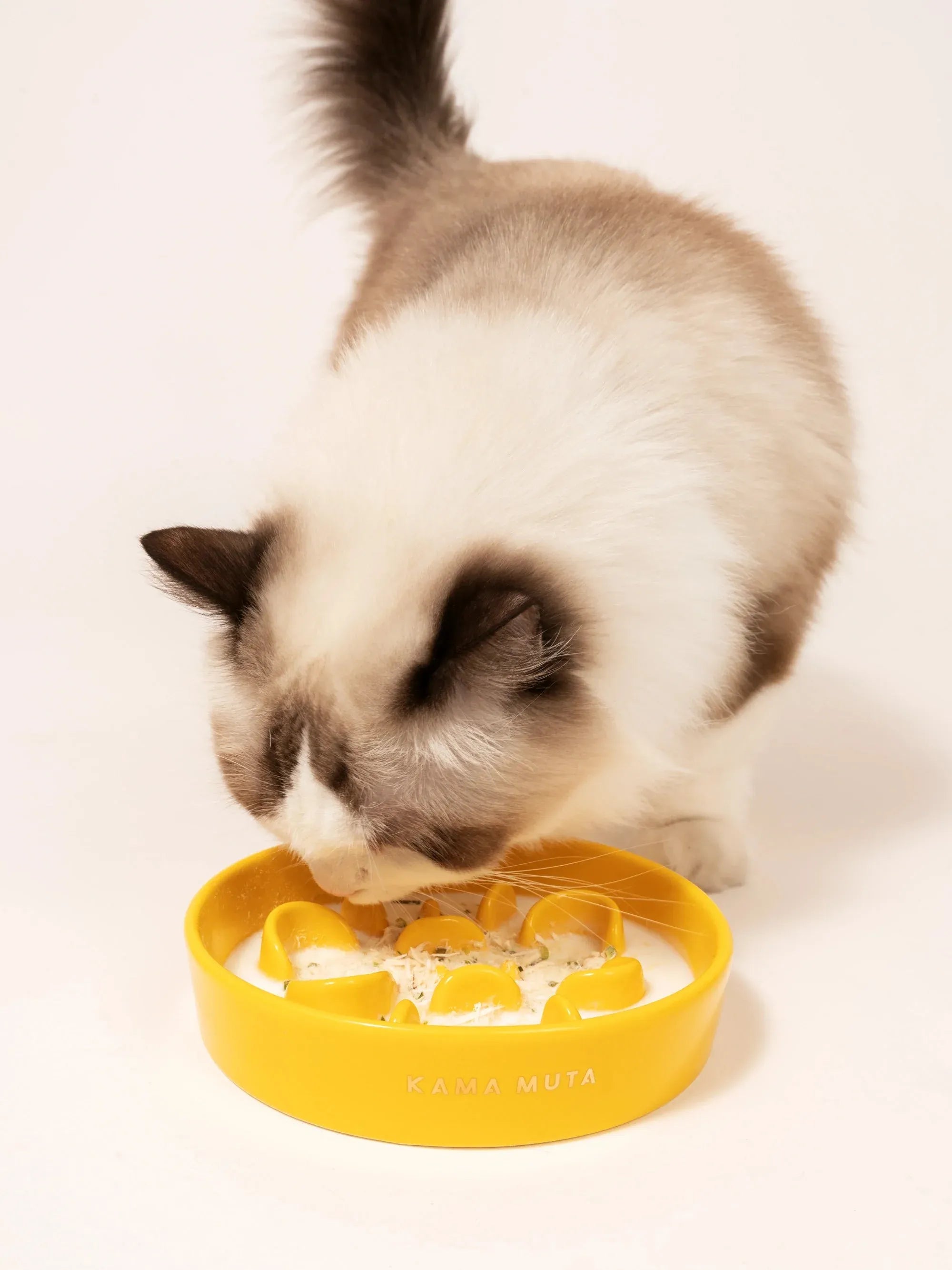 Kama Muta Pet Slow Food Bowl Anti Choking And Anti Slip Ceramic Bowl