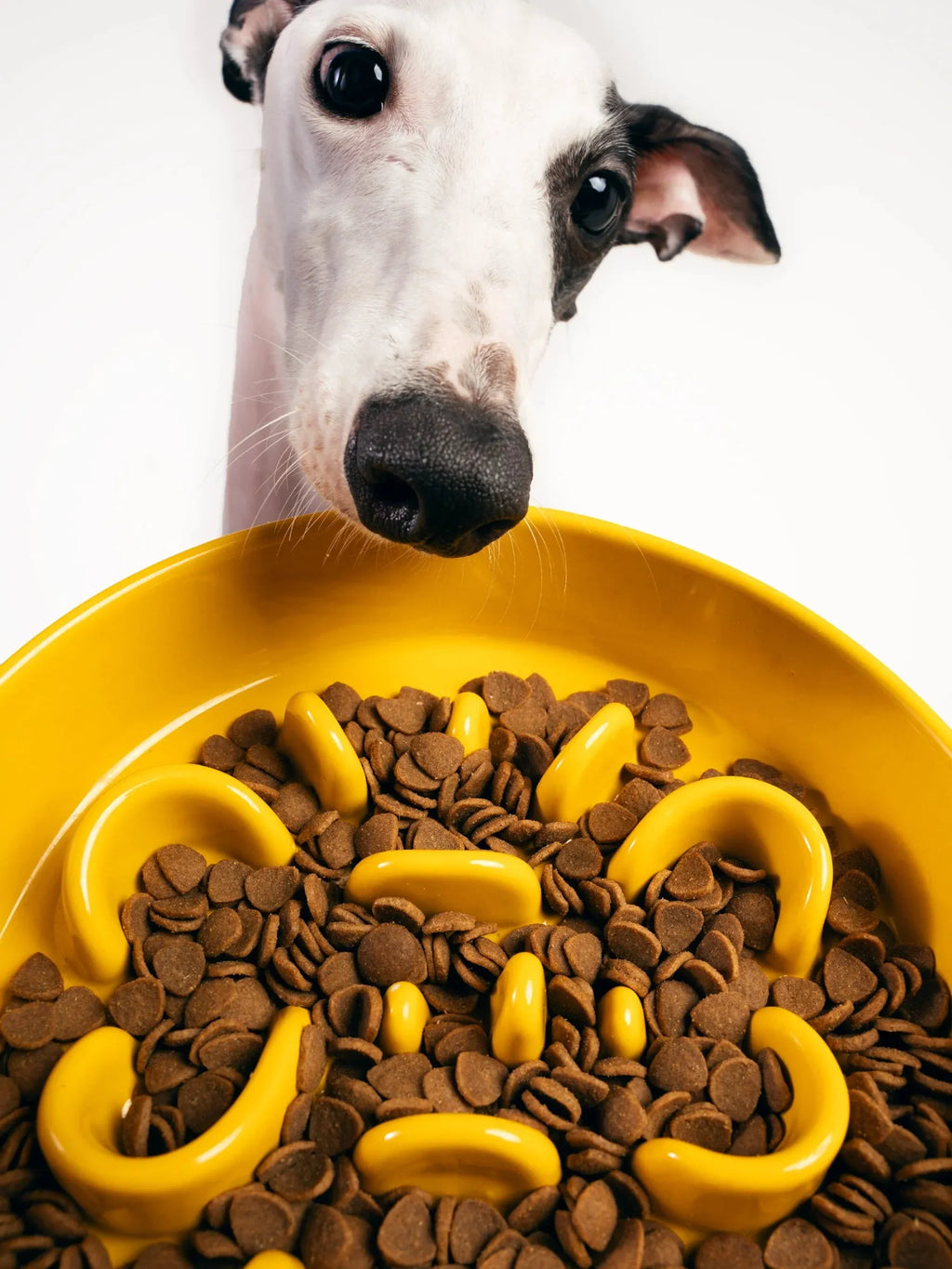 Kama Muta Pet Slow Food Bowl Anti Choking And Anti Slip Ceramic Bowl