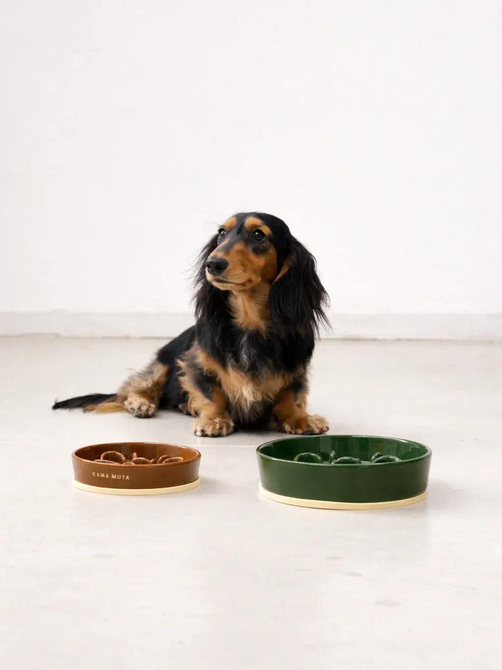 Kama Muta Pet Slow Food Bowl Anti Choking And Anti Slip Ceramic Bowl