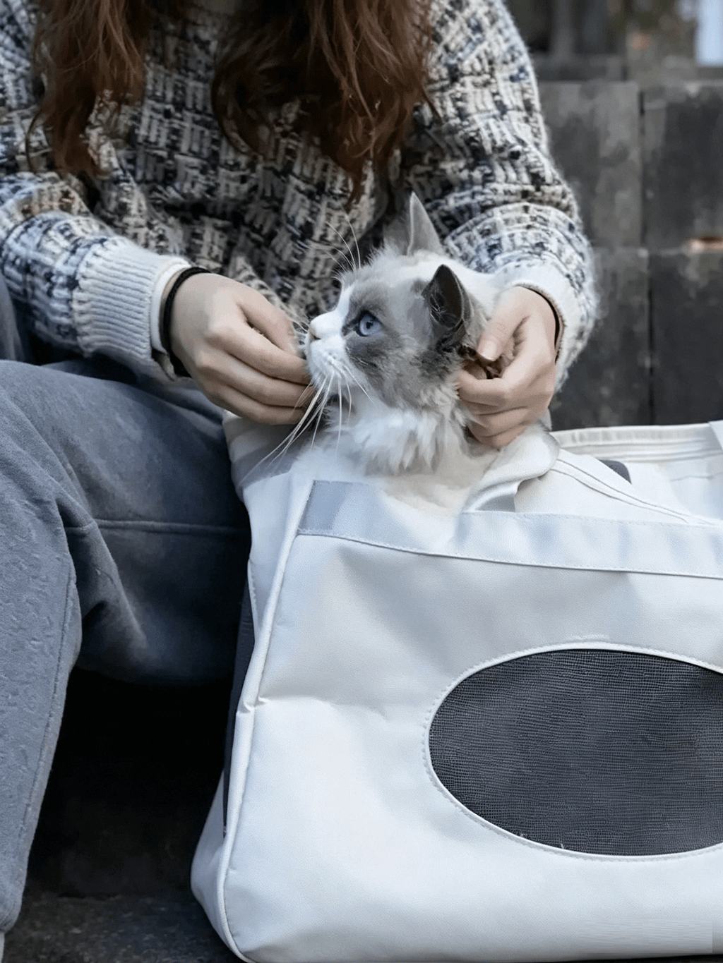 Large-Capacity Pet Messenger Bag
