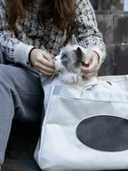 Large-Capacity Pet Messenger Bag