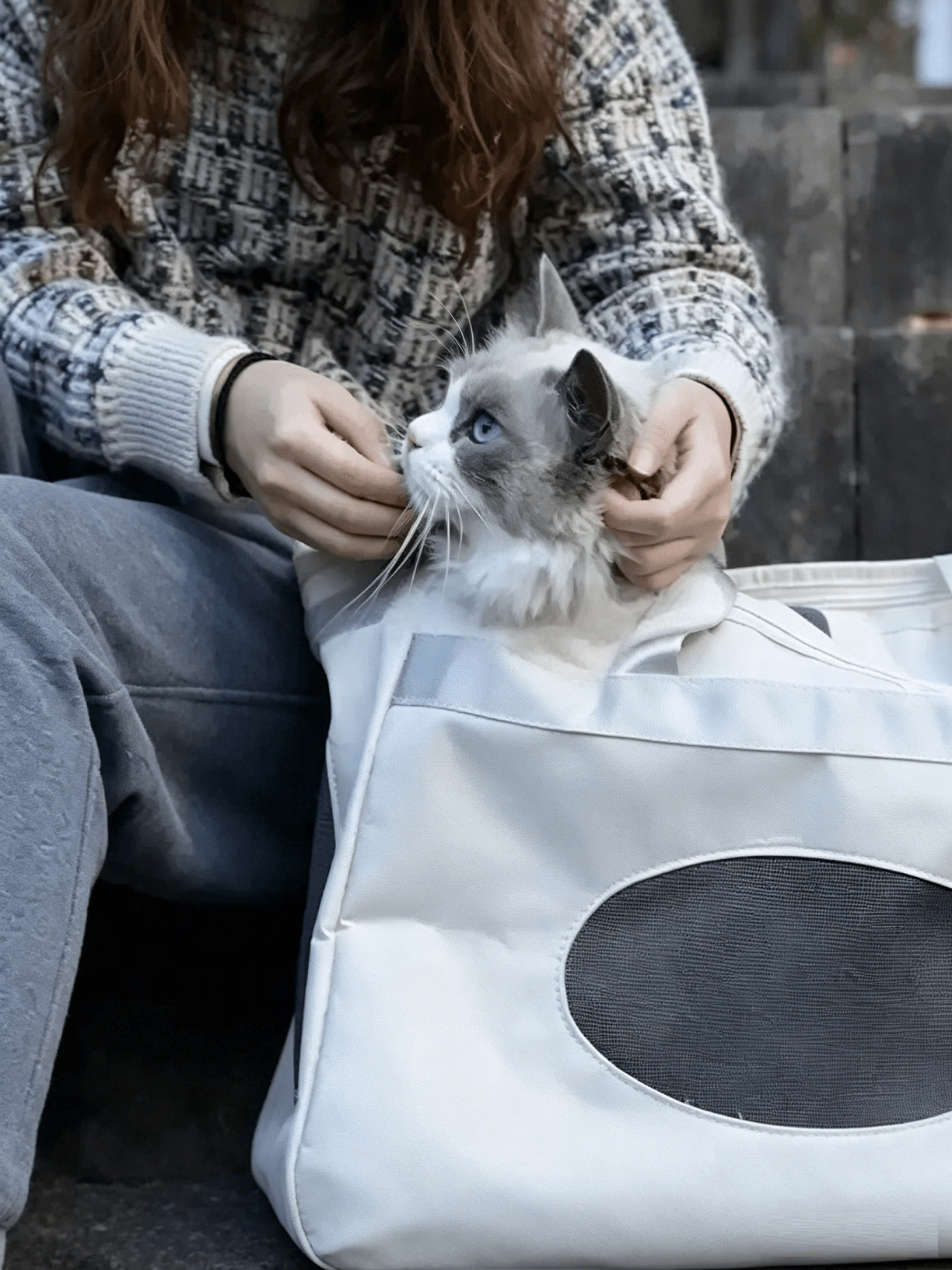 Large-Capacity Pet Messenger Bag