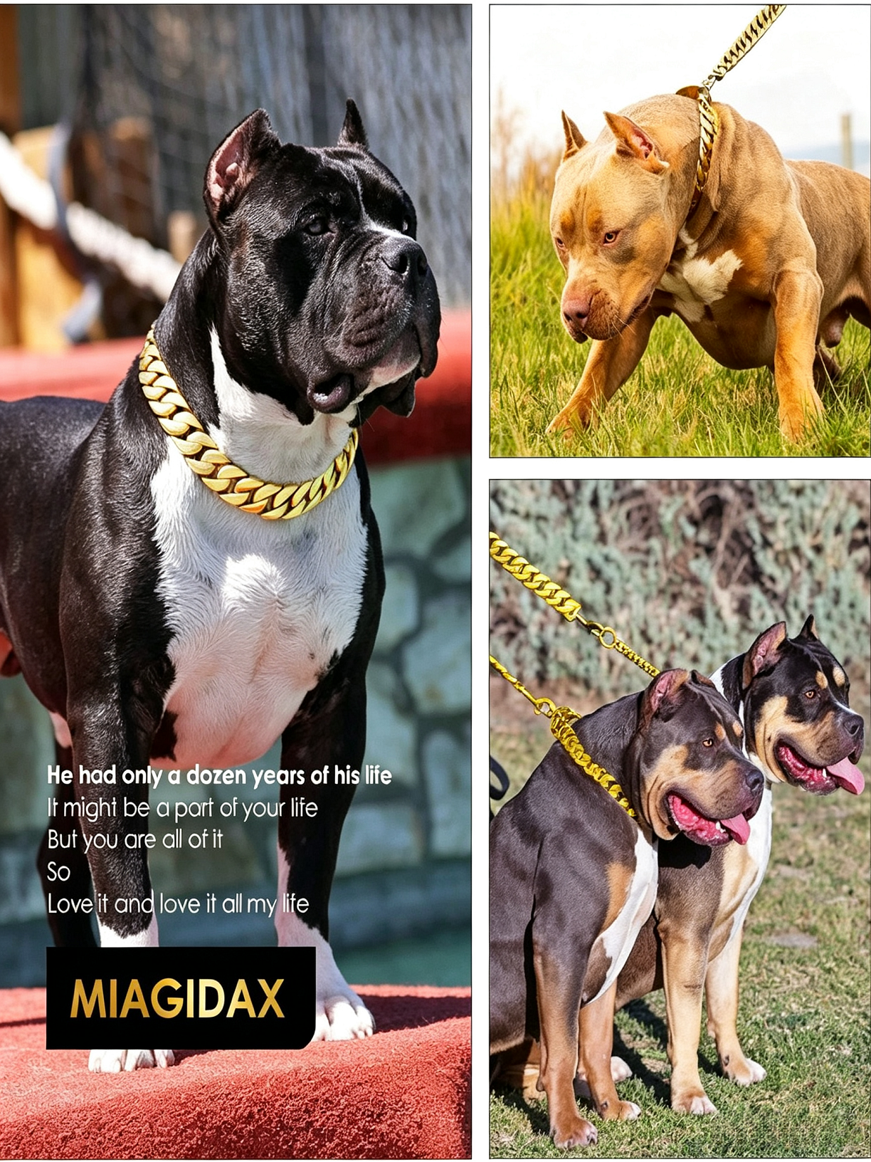 Large Dog-Specific Buckle Necklace