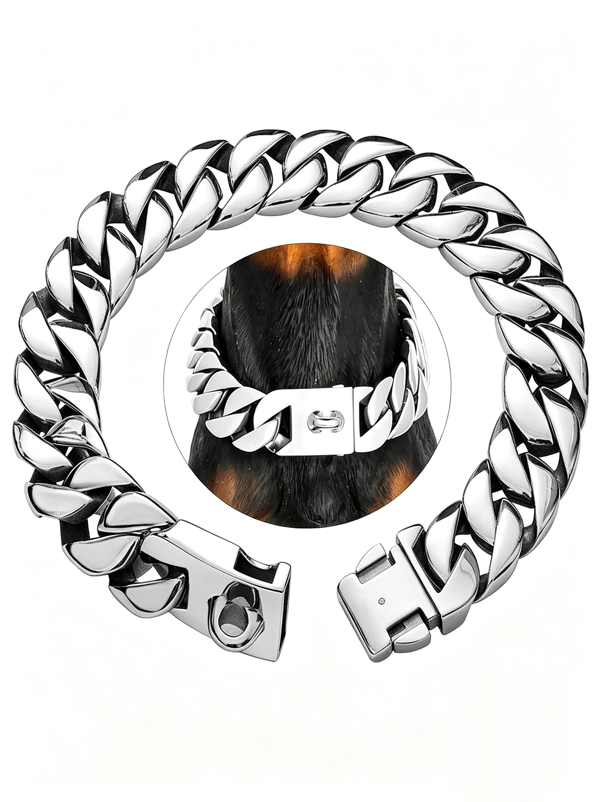 Large Dog-Specific Buckle Necklace