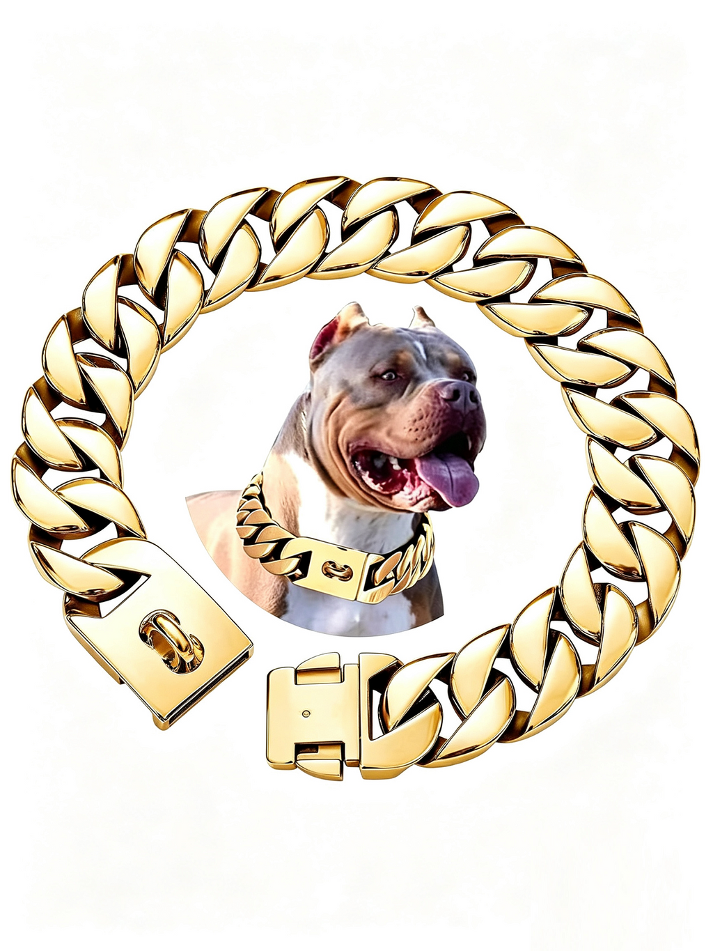 Large Dog-Specific Buckle Necklace