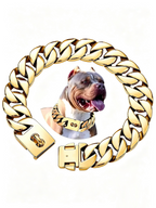 Large Dog-Specific Buckle Necklace