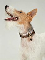 Light Luxury Leather Diamond-Encrusted Pet Collar