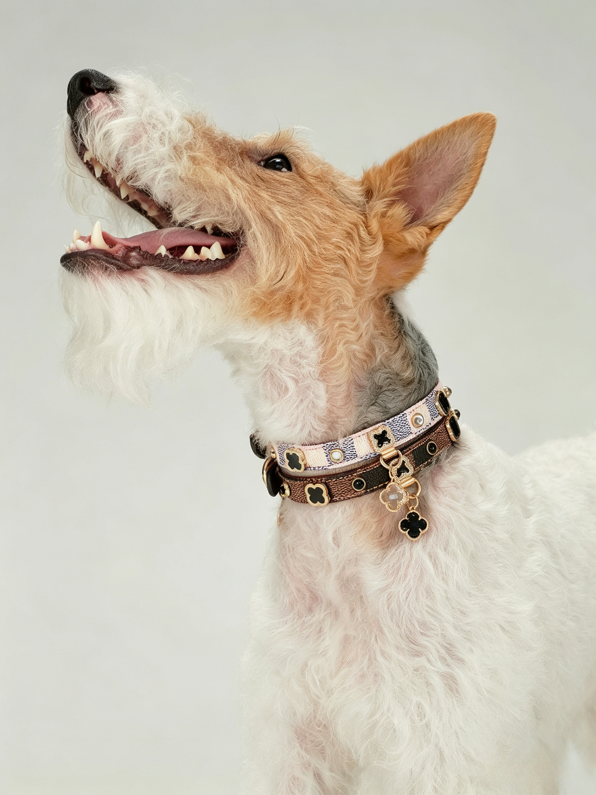Light Luxury Leather Diamond-Encrusted Pet Collar