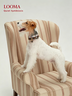 Light Luxury Leather Diamond-Encrusted Pet Collar