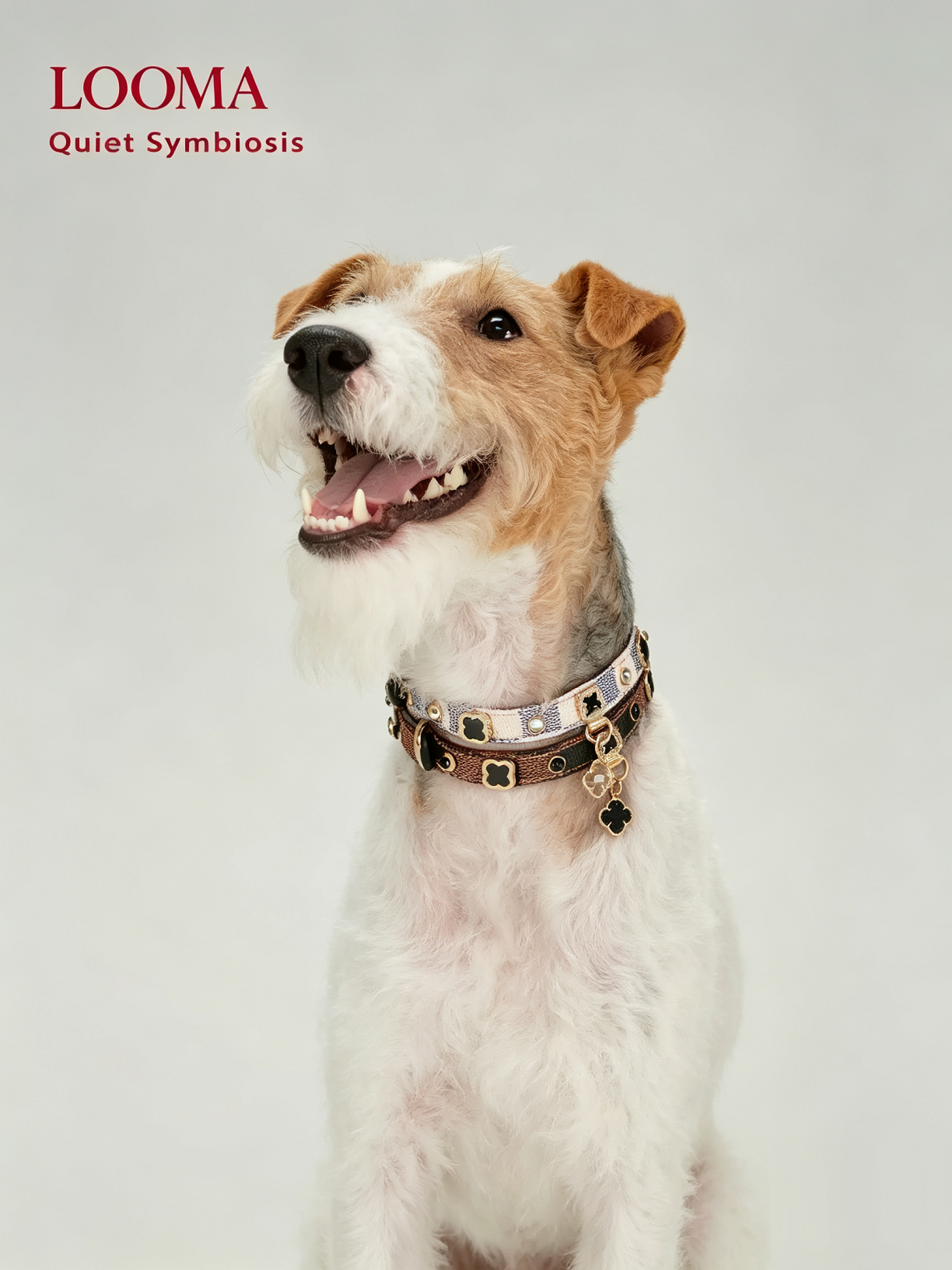 Light Luxury Leather Diamond-Encrusted Pet Collar