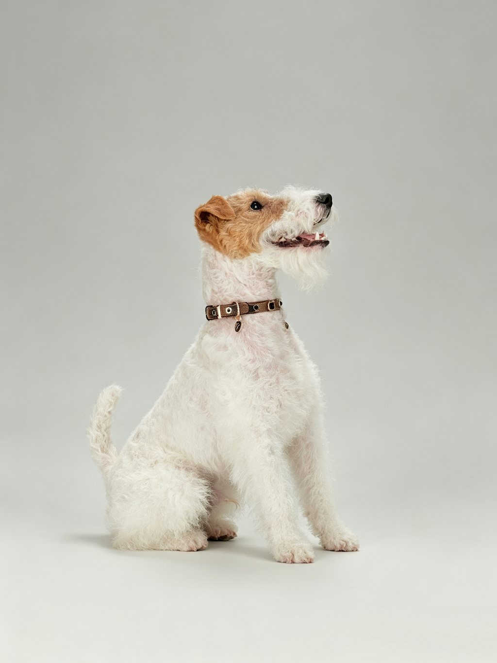 Light Luxury Leather Diamond-Encrusted Pet Collar