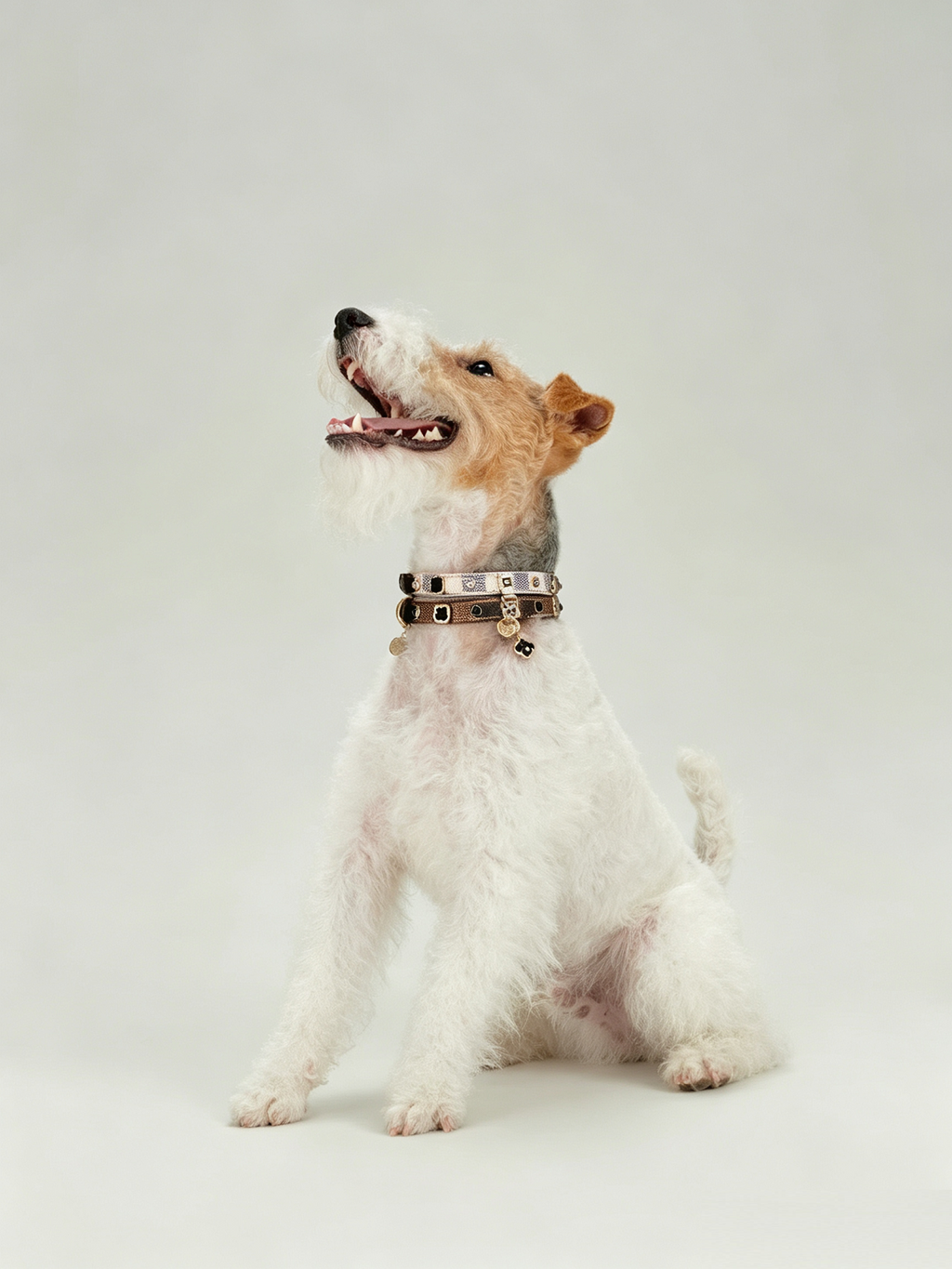 Light Luxury Leather Diamond-Encrusted Pet Collar