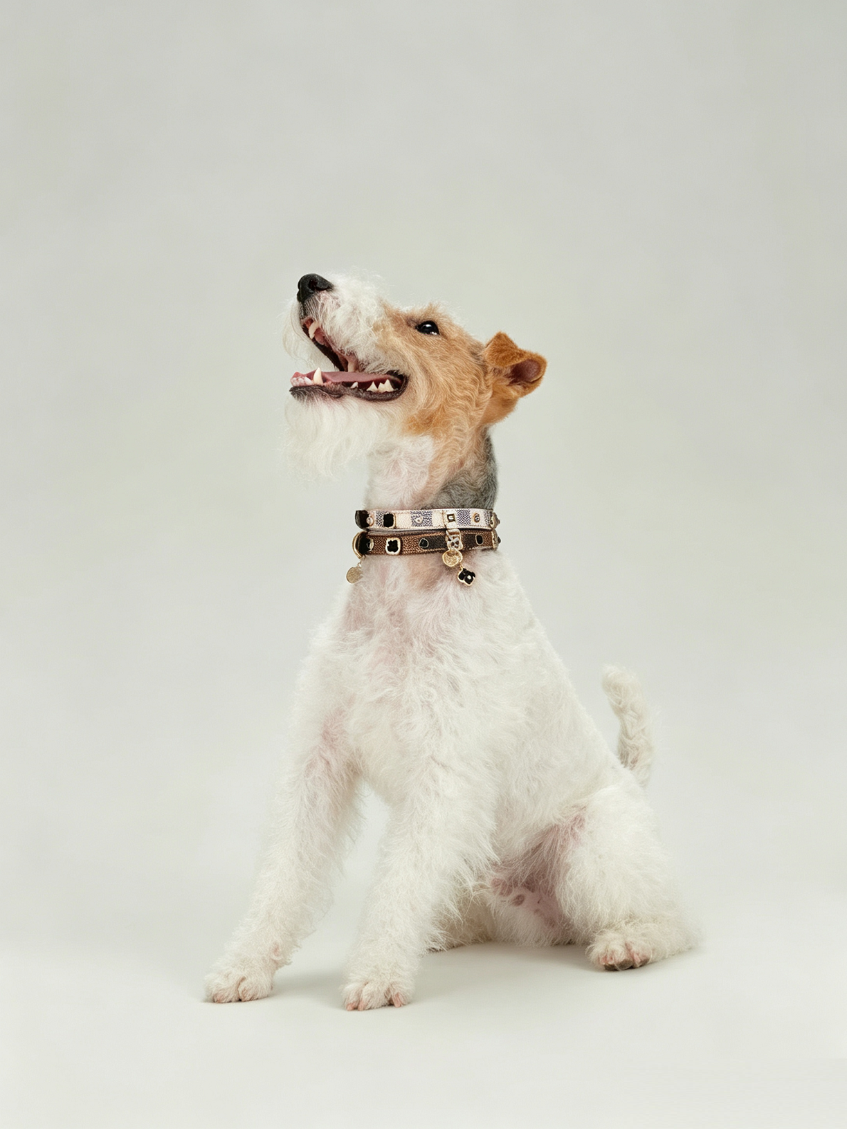 Light Luxury Leather Diamond-Encrusted Pet Collar