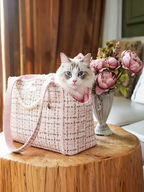 Light Luxury Pet Messenger Bag