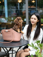 Lightweight Handheld Tote Pet Bag