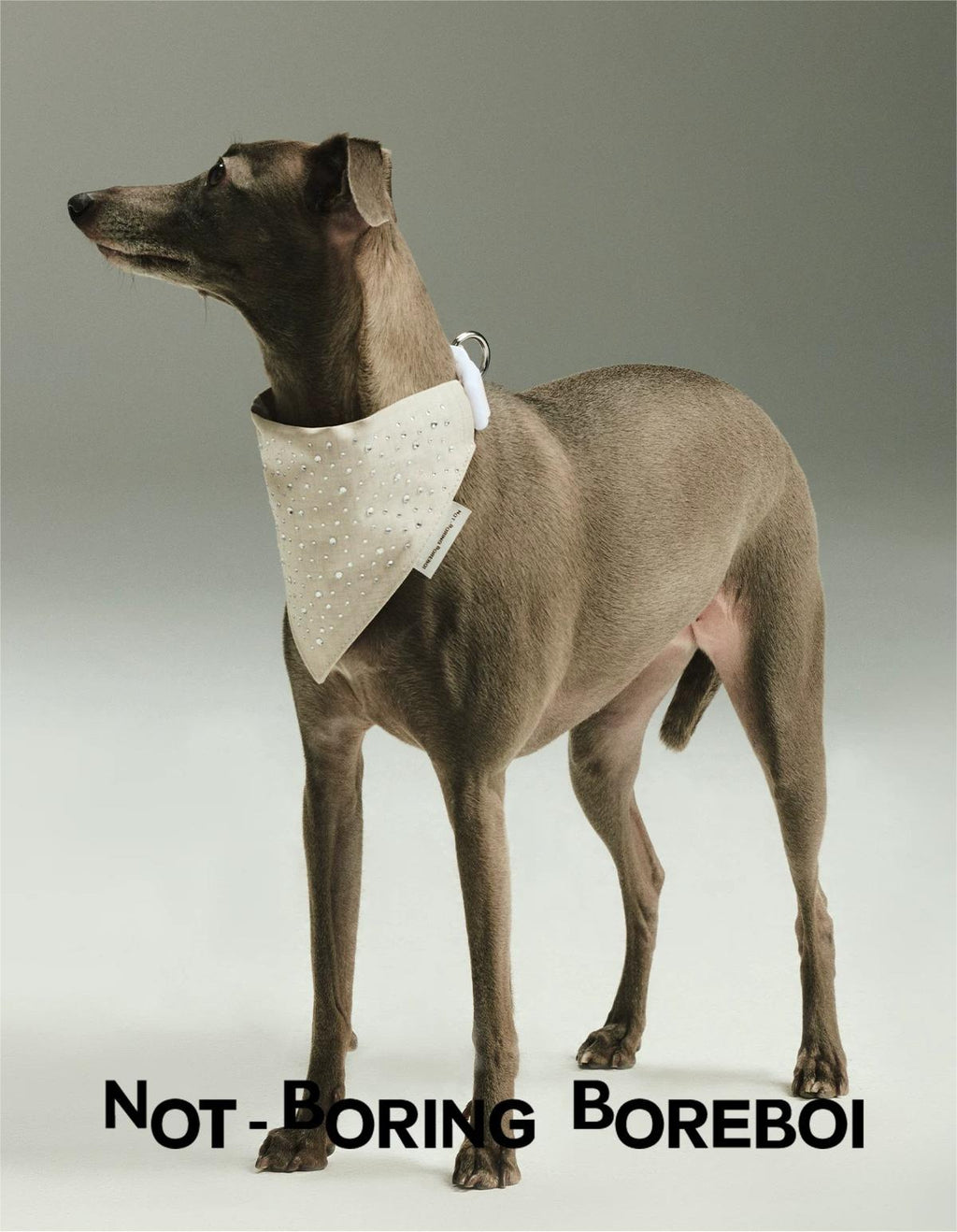 Luxury Rhinestone Pet Chest Vest