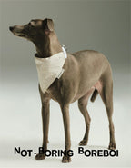 Luxury Rhinestone Pet Chest Vest