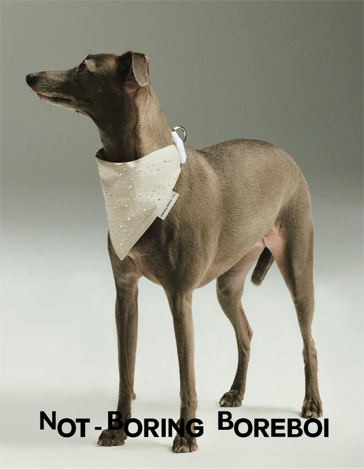 Luxury Rhinestone Pet Chest Vest