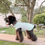 Mint Green Pet Sunscreen Clothing Upf100