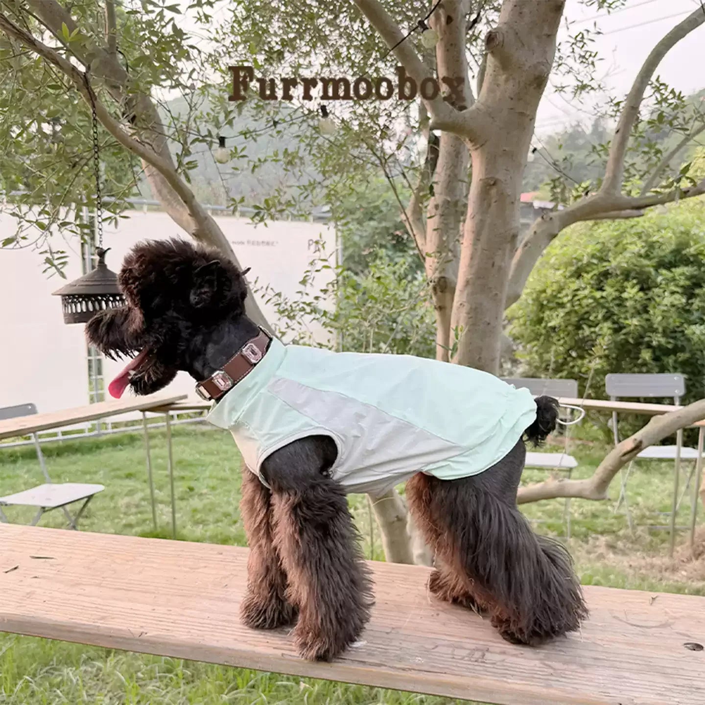 Mint Green Pet Sunscreen Clothing Upf100