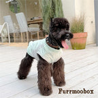 Mint Green Pet Sunscreen Clothing Upf100