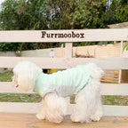 Mint Green Pet Sunscreen Clothing Upf100