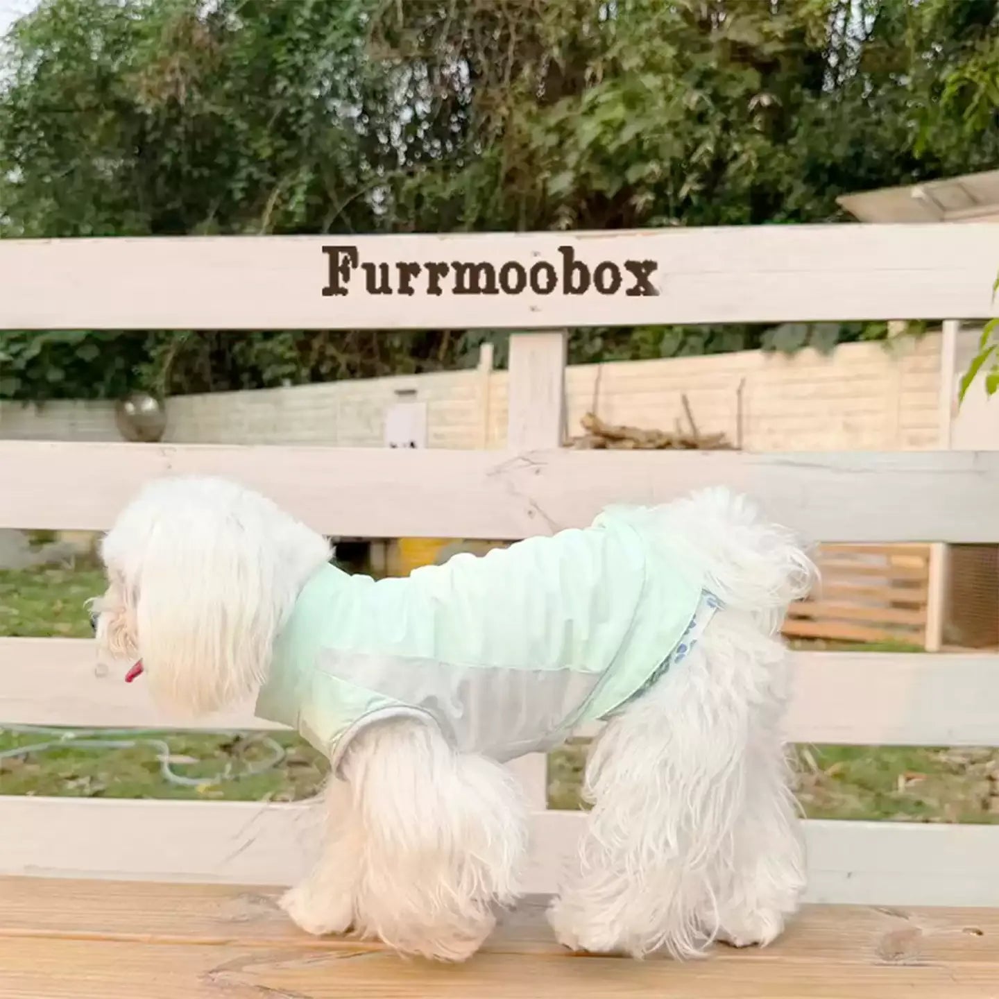 Mint Green Pet Sunscreen Clothing Upf100