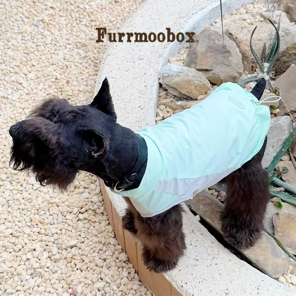 Mint Green Pet Sunscreen Clothing Upf100