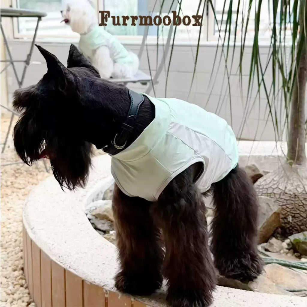 Mint Green Pet Sunscreen Clothing Upf100