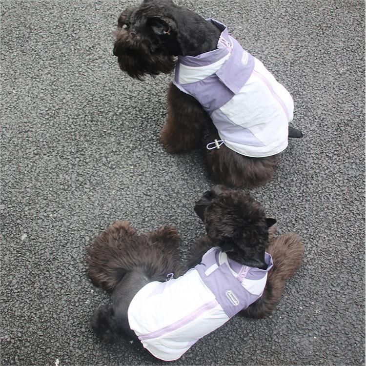 Misty Purple Waterproof Pet Jacket