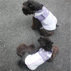 Misty Purple Waterproof Pet Jacket
