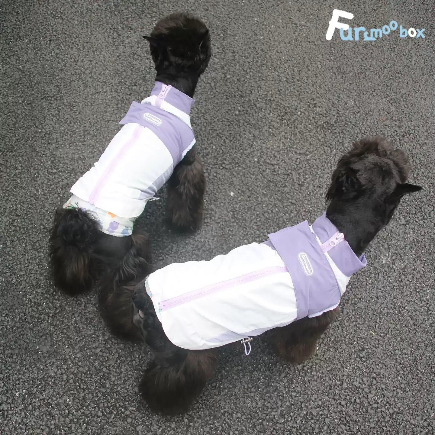 Misty Purple Waterproof Pet Jacket
