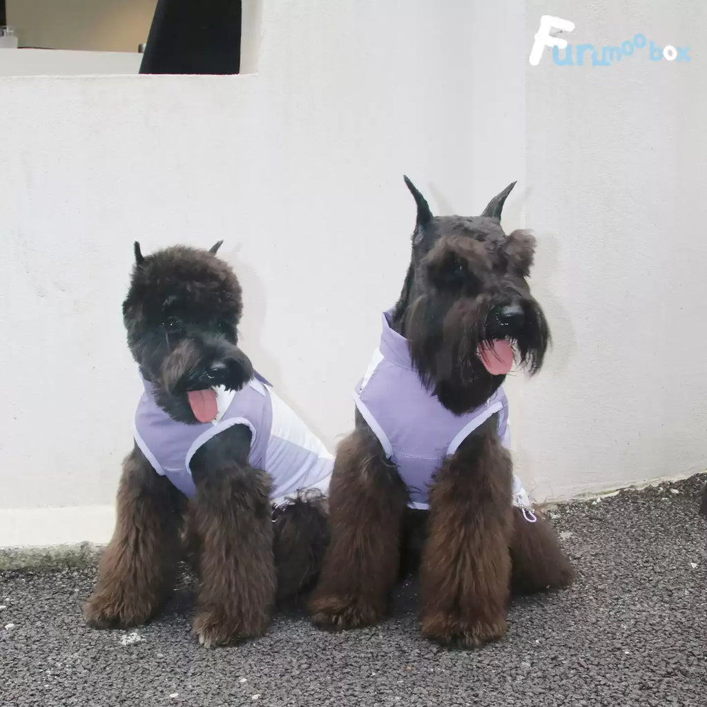 Misty Purple Waterproof Pet Jacket