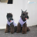 Misty Purple Waterproof Pet Jacket