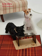 Neck-Protecting And Anti-Tipping Pet Double Bowls