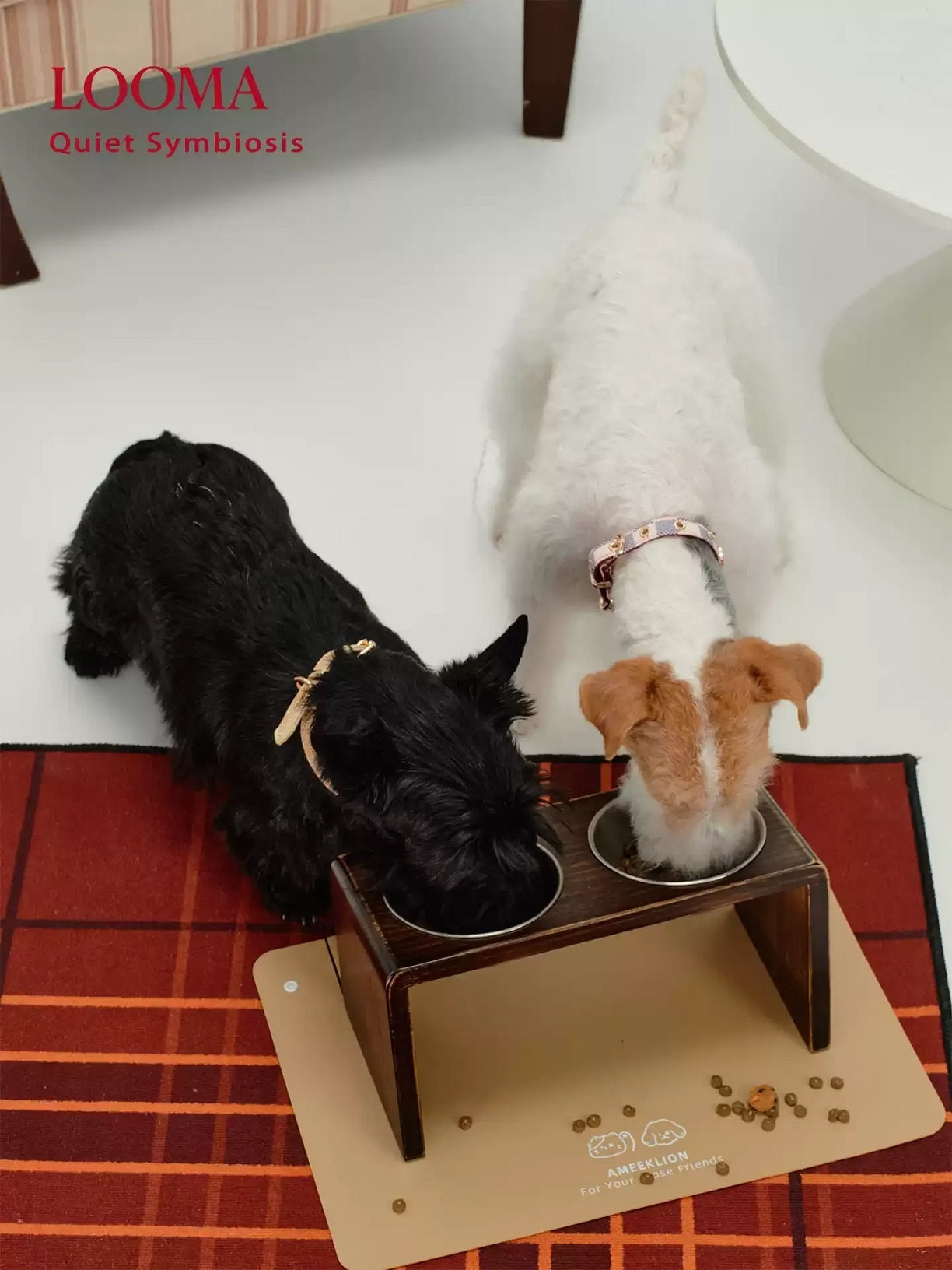 Neck-Protecting And Anti-Tipping Pet Double Bowls