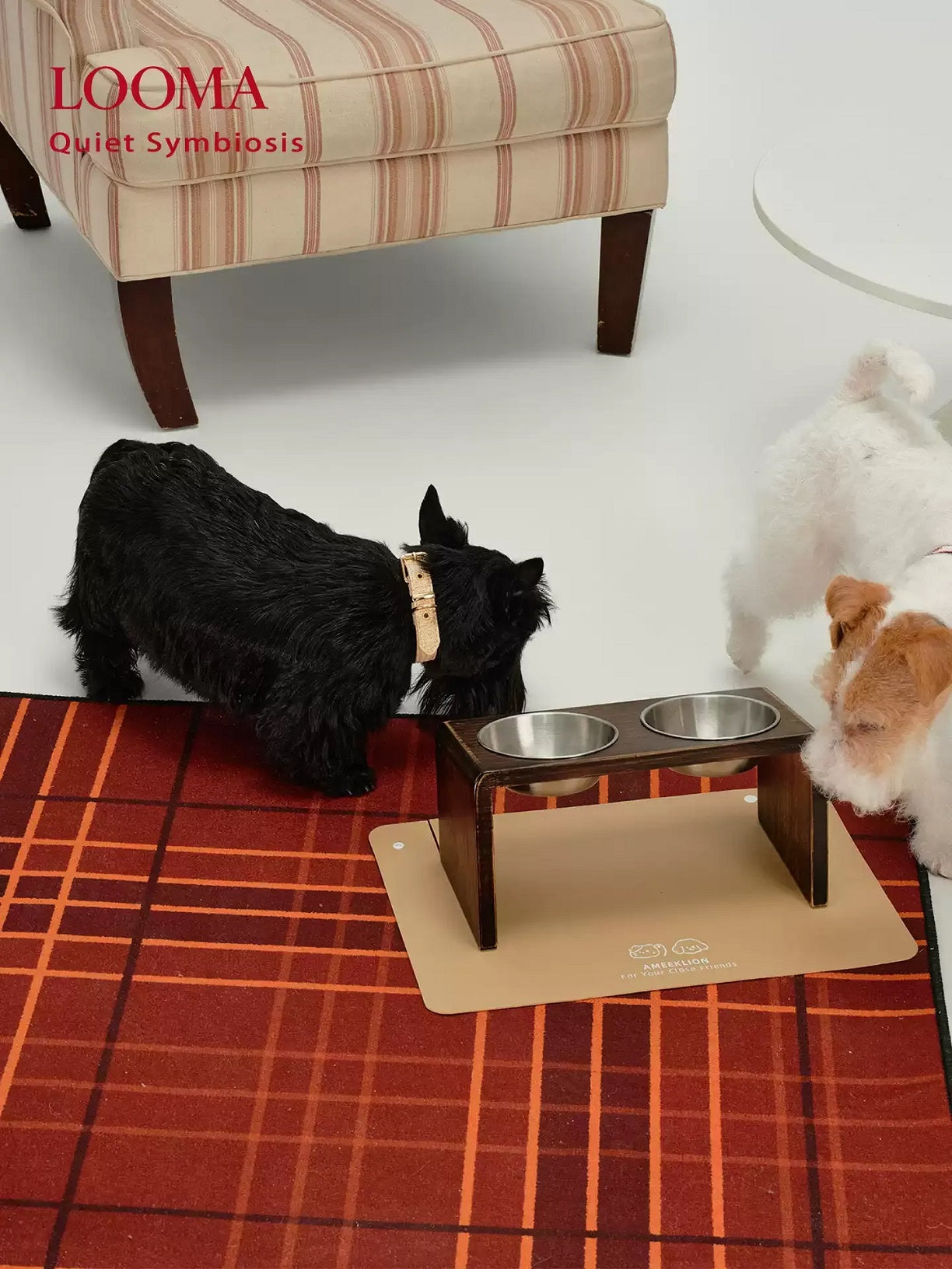 Neck-Protecting And Anti-Tipping Pet Double Bowls