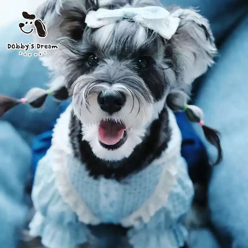 New Spring and Summer Pet Shirts and Skirts
