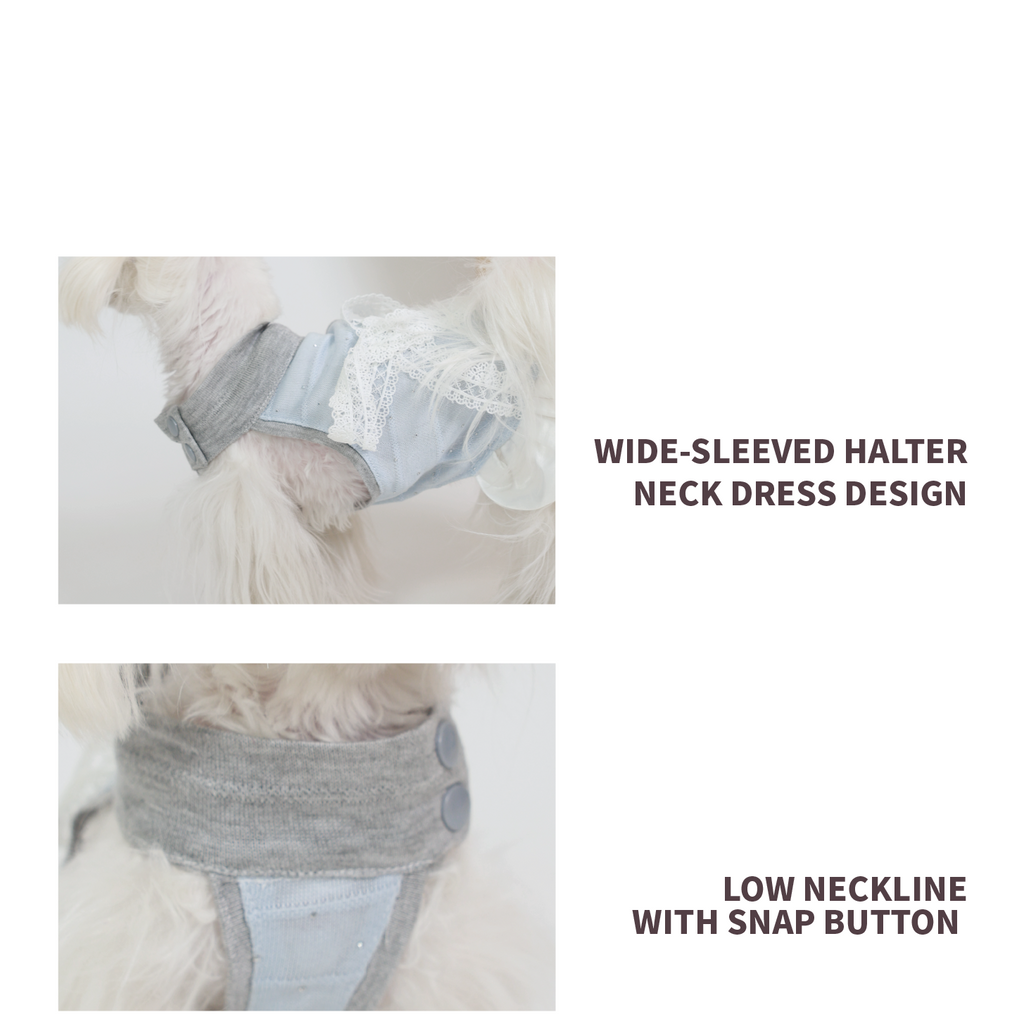 New Summer Lace Dress For Pets