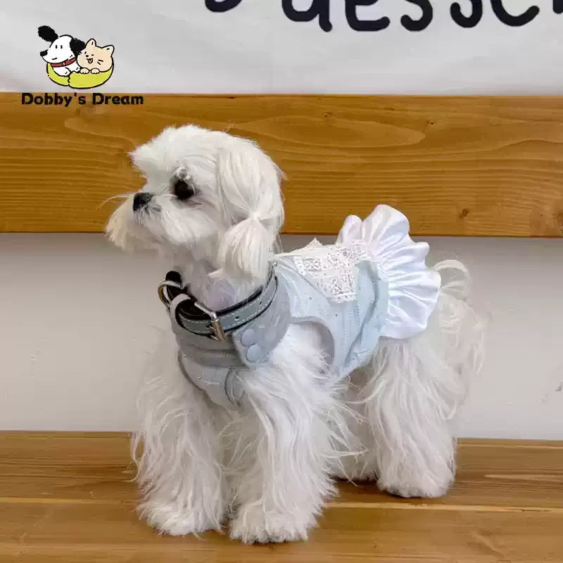 New Summer Lace Dress For Pets