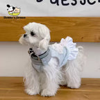New Summer Lace Dress For Pets