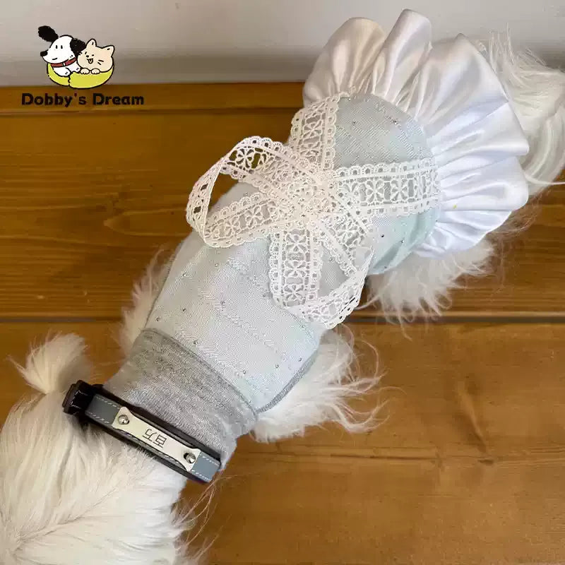 New Summer Lace Dress For Pets