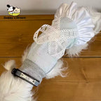New Summer Lace Dress For Pets